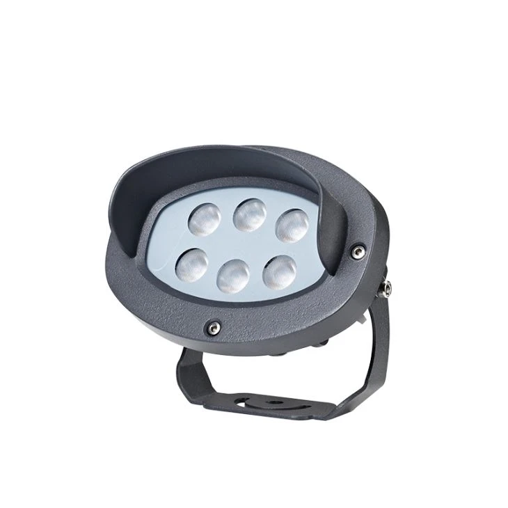6W Rose Flood Light